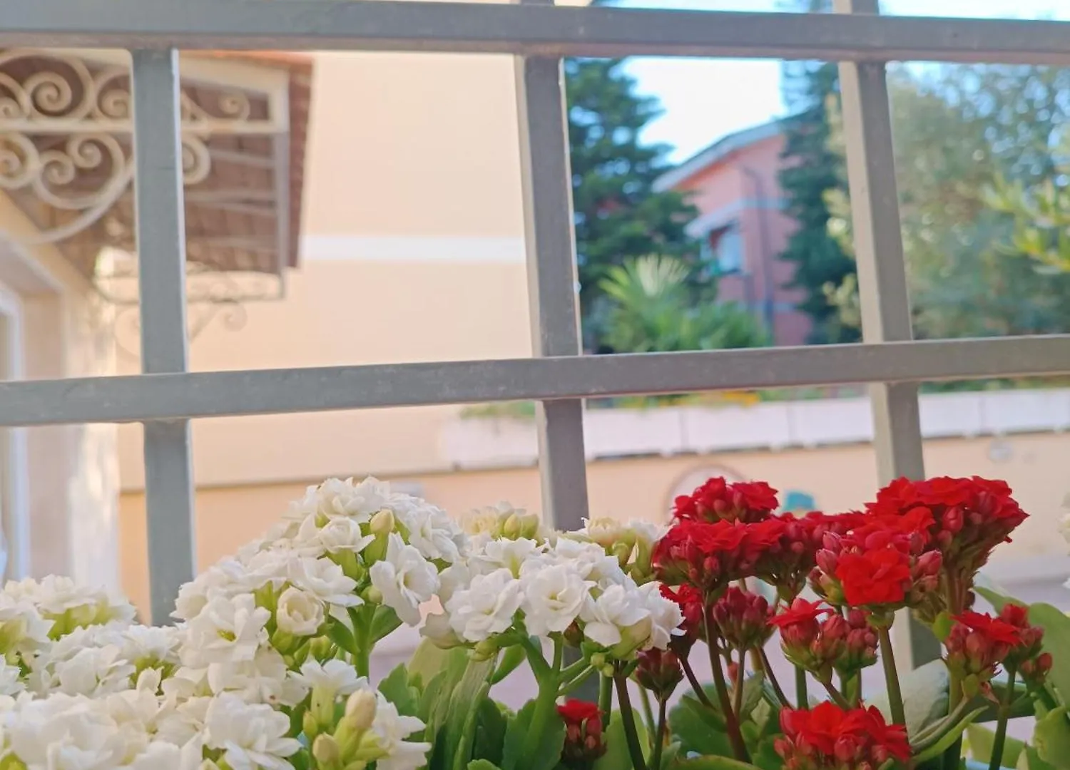 My Home B&B Fiumicino Bed & Breakfast