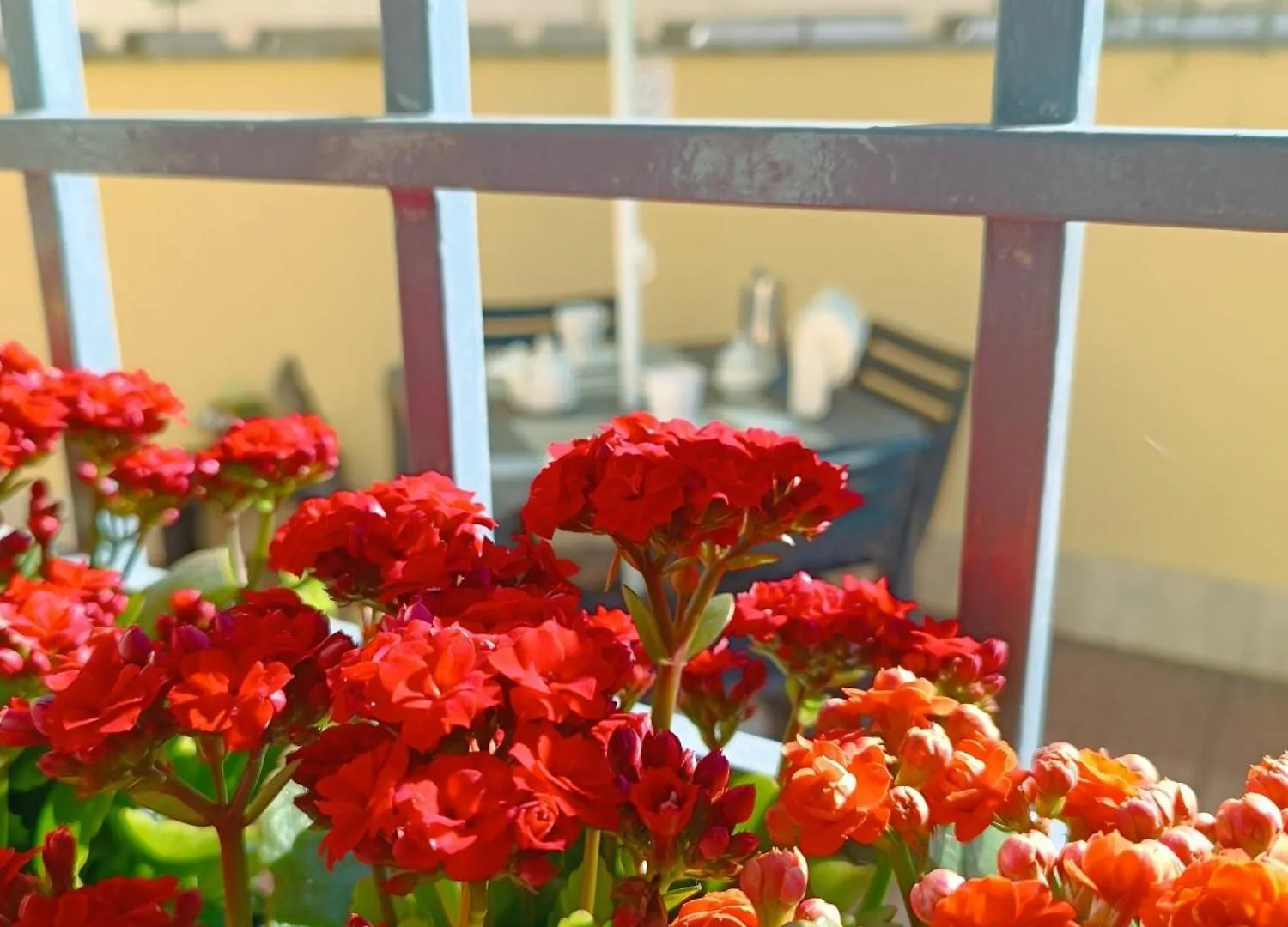 Bed & Breakfast My Home B&B Fiumicino