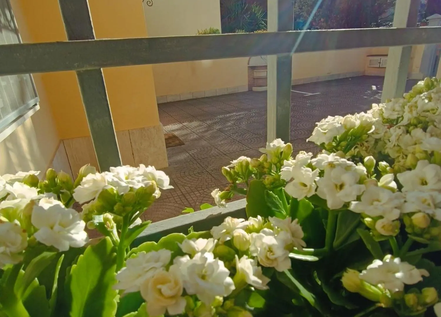 My Home B&B Fiumicino